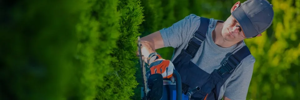 Lions Gate Landscaping project